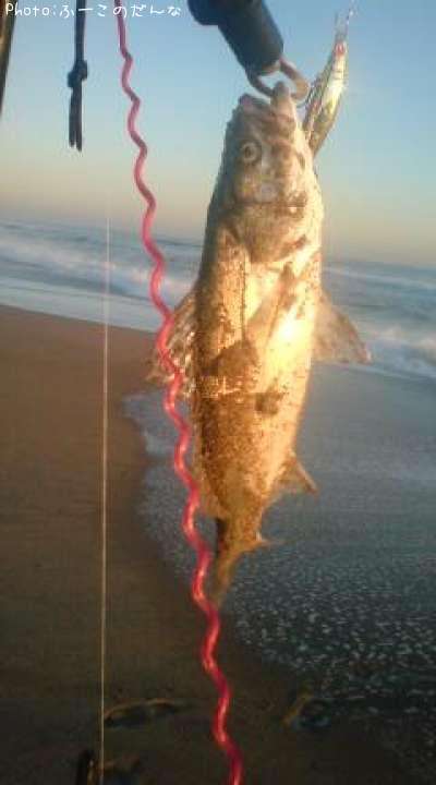 �����Х�