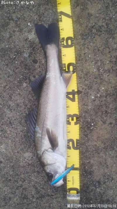 �����Х�