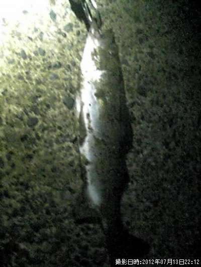 �����Х�