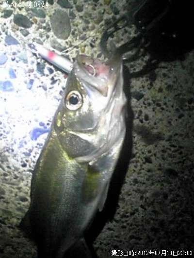 �����Х�