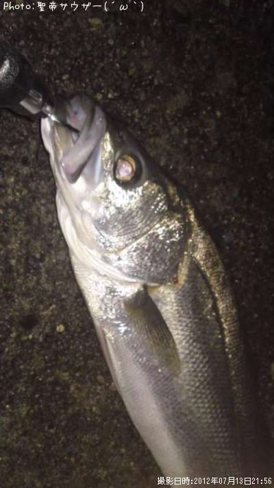 �����Х�