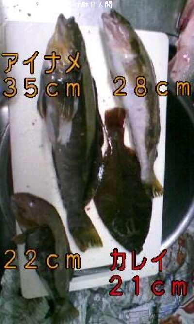 �����ʥᡦ���쥤