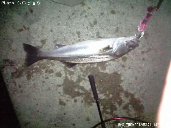 �����Х�