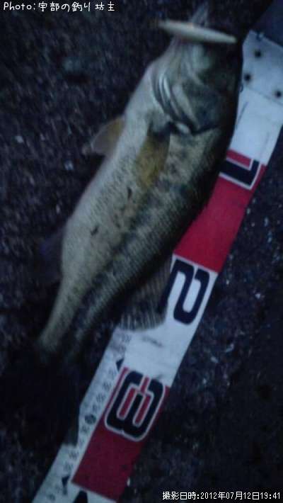 �֥�å��Х�