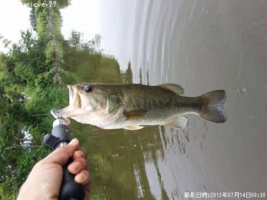 �֥�å��Х�