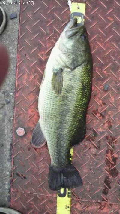 �֥�å��Х�