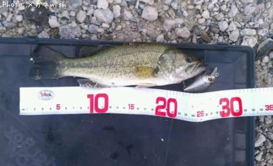 �֥�å��Х�