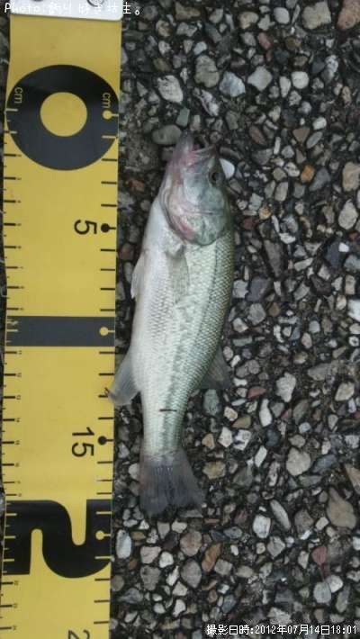 �֥�å��Х�