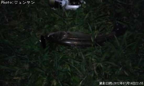 �����Х�