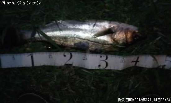 �����Х�