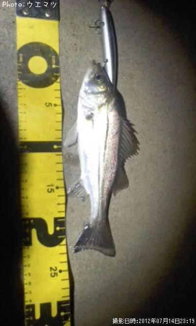 �����Х�