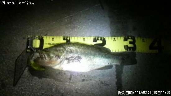 �֥�å��Х�