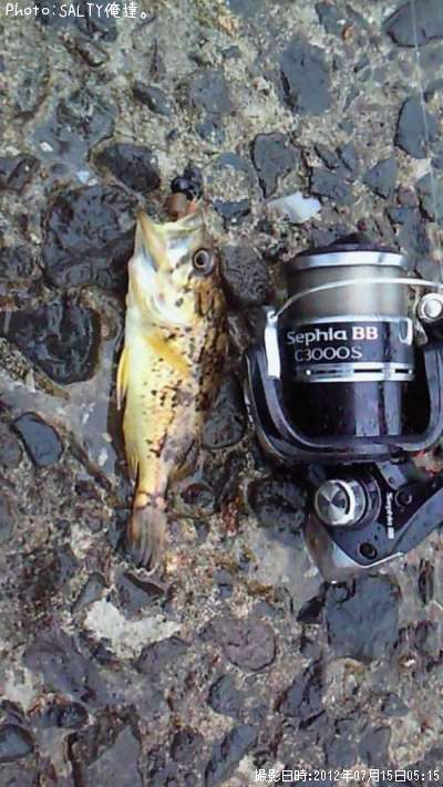 �����Υ���Х�