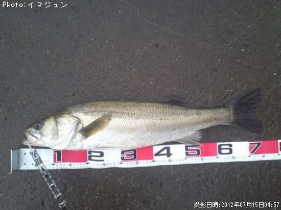 �����Х�