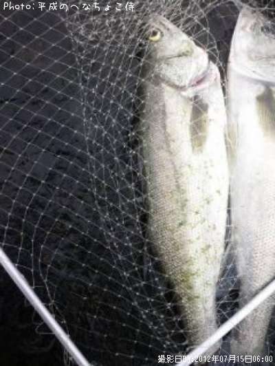 �����Х�