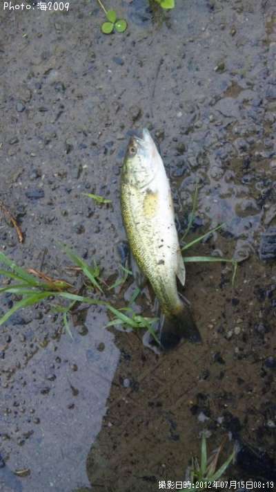 �֥�å��Х�