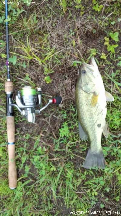 �֥�å��Х�