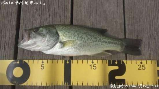 �֥�å��Х�