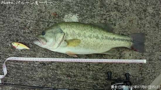 �֥�å��Х�