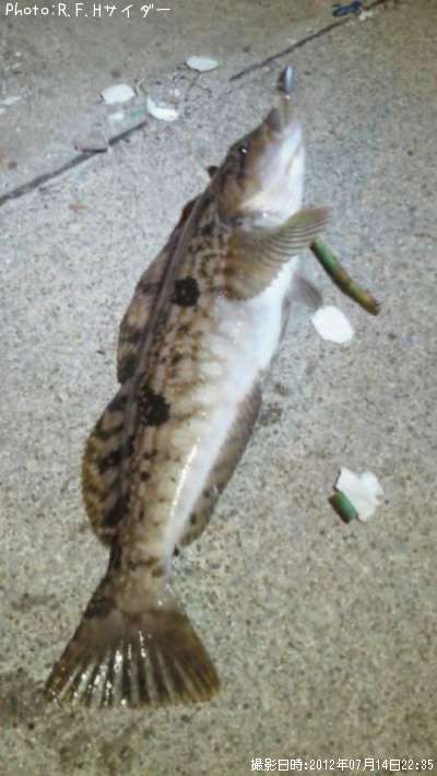 �����ʥ�