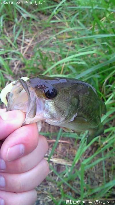 �֥�å��Х�