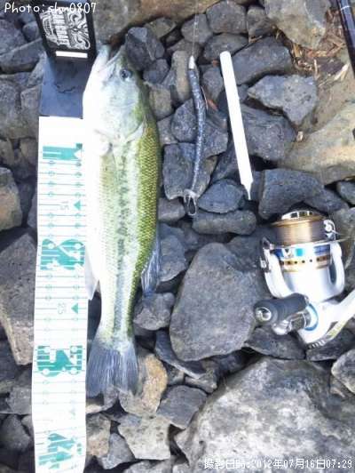 �֥�å��Х�