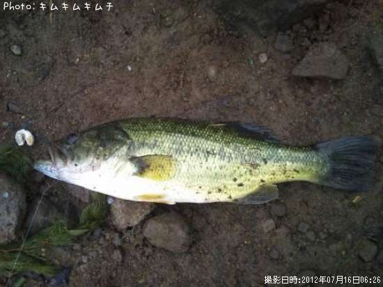 �֥�å��Х�