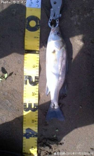 �����Х�