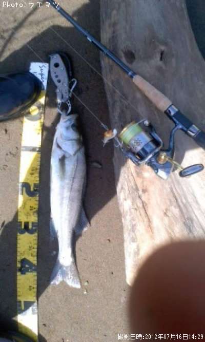 �����Х�