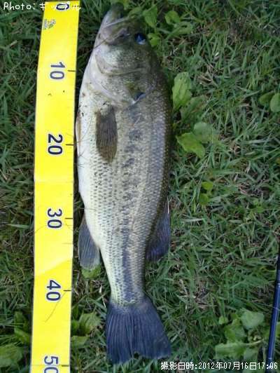 �֥�å��Х�