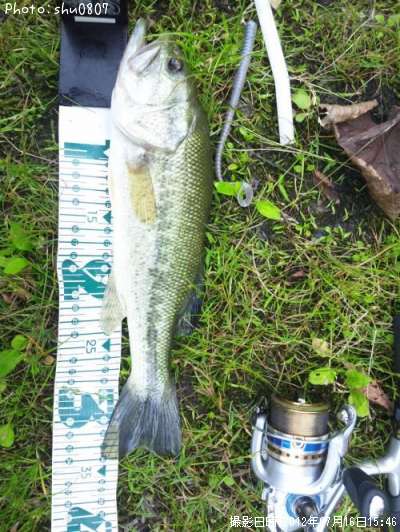 �֥�å��Х�