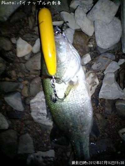 �֥�å��Х�