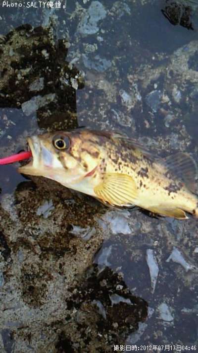 �����Υ���Х�