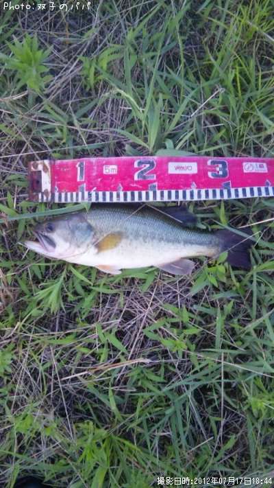 �֥�å��Х�