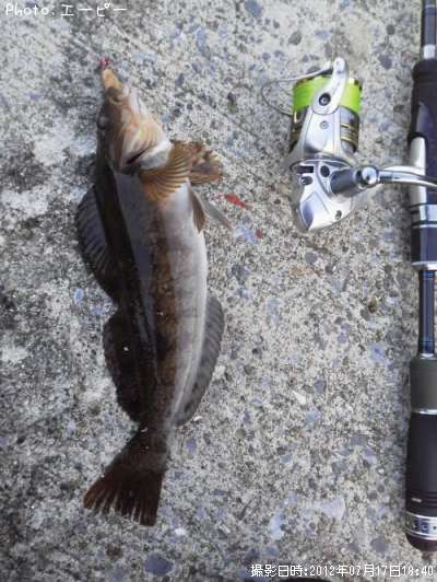 �����ʥ�