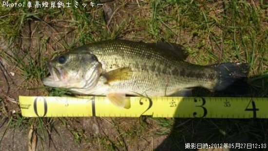 �֥�å��Х�