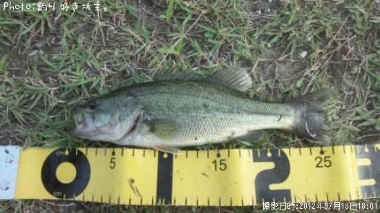 �֥�å��Х�