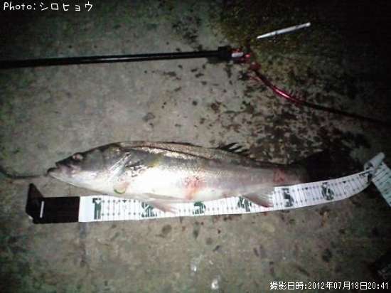 �����Х�