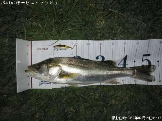 �����Х�