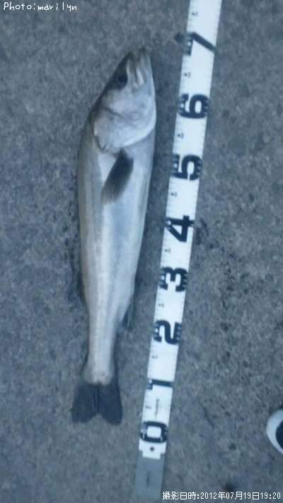 �����Х�