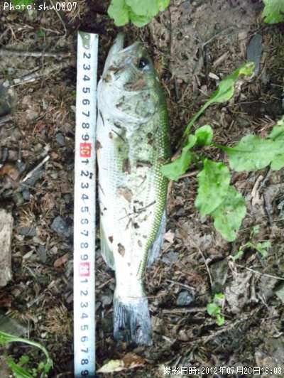 �֥�å��Х�