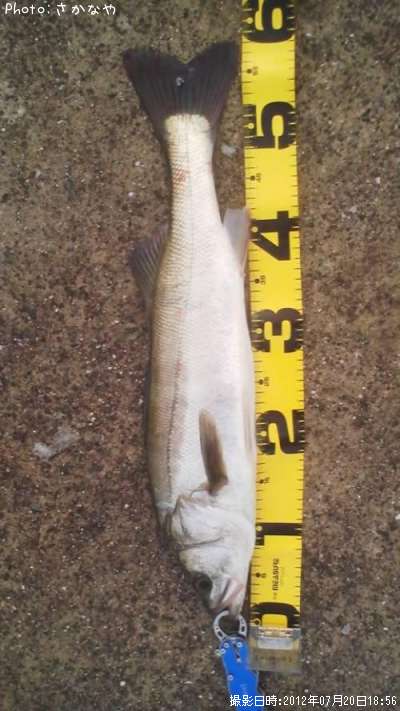 �����Х�