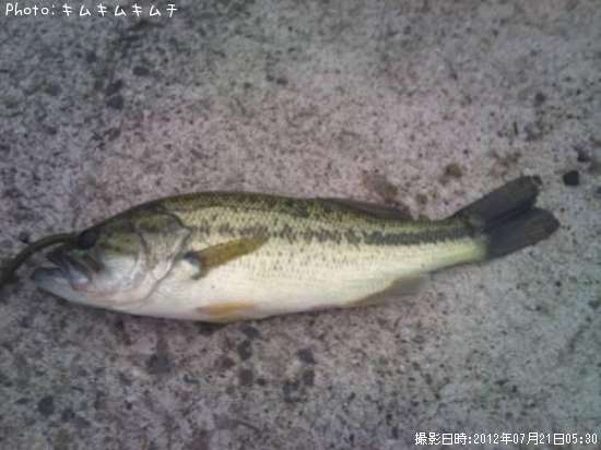 �֥�å��Х�