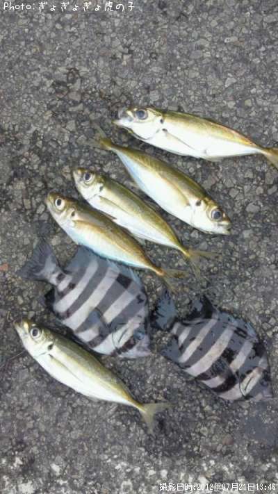 ���ޥ���������