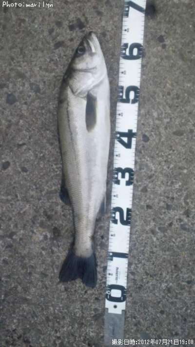 �����Х�