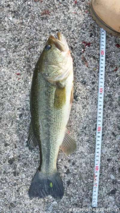 �֥�å��Х�