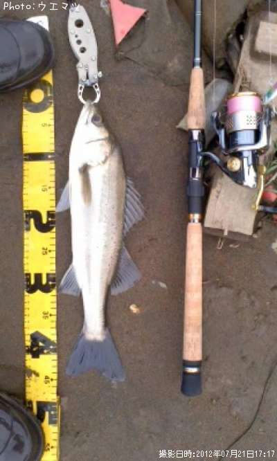 �����Х�