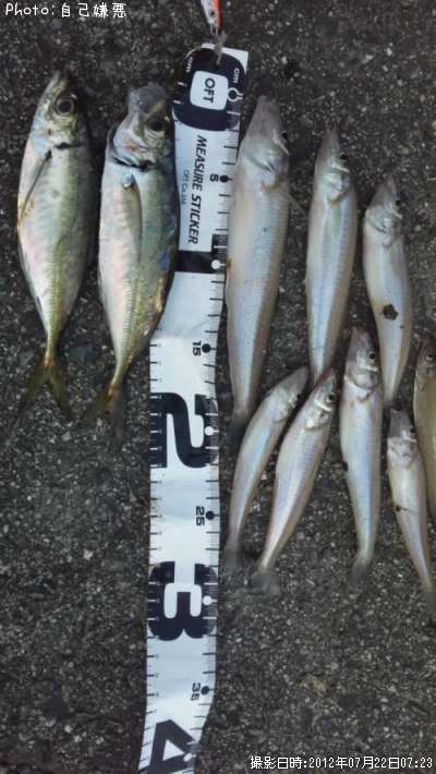 ��������������