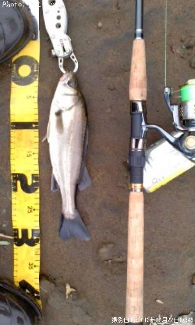 �����Х�