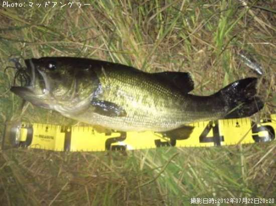 �֥�å��Х�